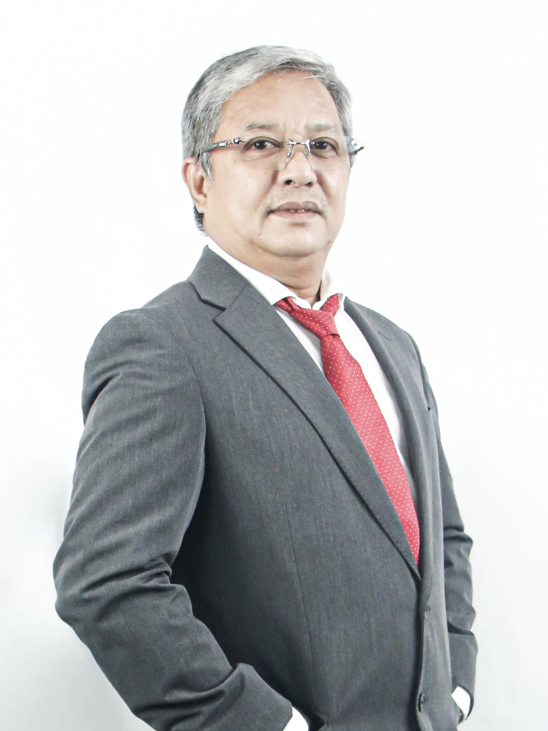 Renato C. Enojado — Vice President & Director